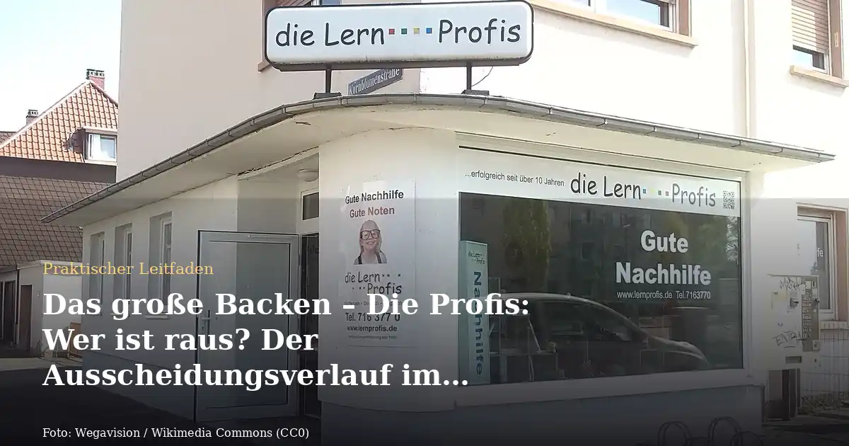 Das große Backen – Die Profis: Wer ist raus? Der Ausscheidungsverlauf im Überblick