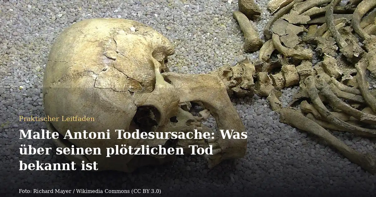 Malte Antoni Todesursache: Was über seinen plötzlichen Tod bekannt ist