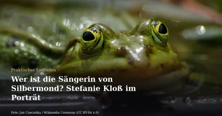 Wer ist die Sängerin von Silbermond? Stefanie Kloß im Porträt